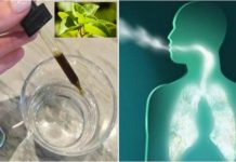 Add 3 Drops of Oregano Oil to Water and See How Your Lungs Transform