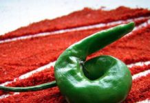 The Best Herb for First Aid – Stops Serious Bleeding in Seconds!