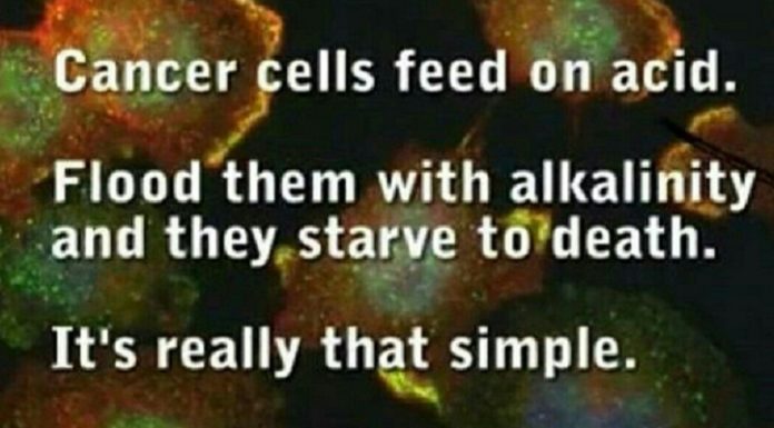 Cancer Cells Thrive In Acidity. Restore The Body’s pH Levels With Just One Superfood