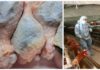 Finally! The FDA Admits That Nearly Over 70% of U.S. Chickens Contain Cancer-Causing Arsenic.