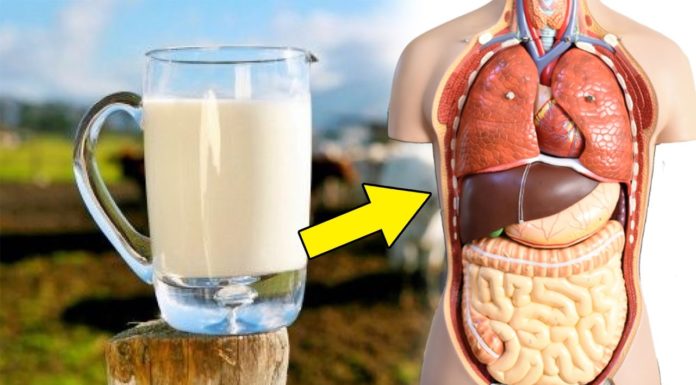 This Is What Happens To Your Body When You Drink A Glass Of Milk Every Day