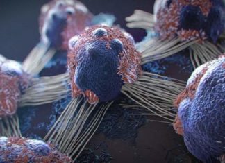 The Cancer, Dies When You Eat These 5 Foods, Time to Start Eating Them