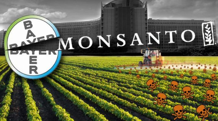 BREAKING NEWS: The Name Monsanto is Officially History After 117 Years of Poisoning People Around the Globe
