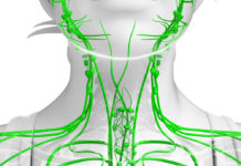 Signs of A Clogged Lymphatic System And 10 Ways To Cleanse It