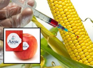 The Top Six Things Everyone Must Know to Avoid GMOs in 2018