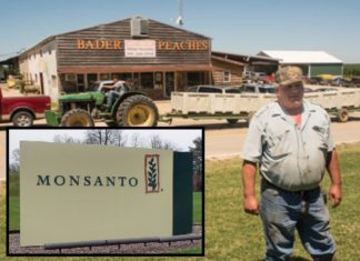 Victory!!! Monsanto Denied AGAIN in Court, Will Face First “Ecological Disaster” Trial for Destroying Thousands of Acres of Crops Across the Country