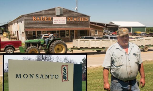 Victory!!! Monsanto Denied AGAIN in Court, Will Face First “Ecological Disaster” Trial for Destroying Thousands of Acres of Crops Across the Country