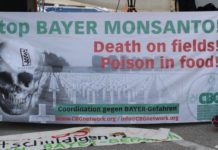 Eight Reasons Why Every Human Being With a Conscience Should Boycott Monsanto-Bayer