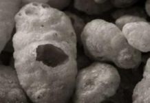 Research Finds High Levels of Arsenic In Common Foods