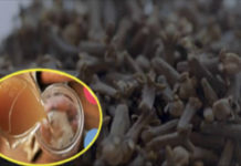 The Definitive Cure To End Blood Sugar and Triglycerides Comes To Light … Only With These 3 Ingredients