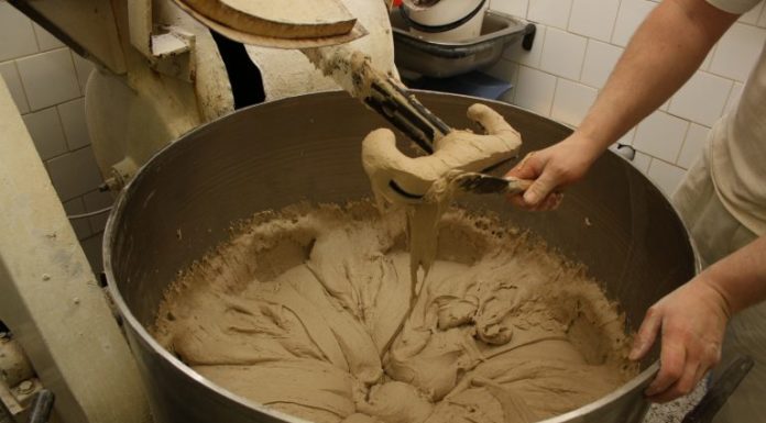 They Said That Gluten is the Reason Bread is Unhealthy. Here’s What They Didn’t Tell You