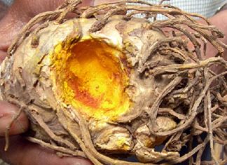 12 Strategies That Help Prevent Cancer from Growing Inside Your Body