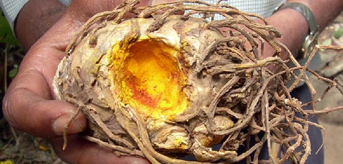 12 Strategies That Help Prevent Cancer from Growing Inside Your Body