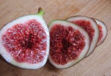 One of the Most Alkalizing Fruits in Existance – Alkalize Your Body to Prevent Cancer and More… .