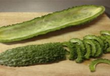 This Type Of Melon Destroys Every Type Of Cancer And Treats Diabetes