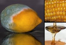 One of the Most Common Food Additives is Made with GMO Fermented “Mold” and GMO Corn Syrup