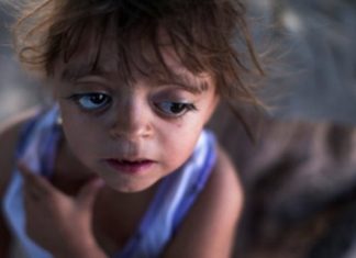 Is Argentina the New Vietnam? New Study Links Monsanto Chemical to Miscarriages, Epidemic of Birth Defects