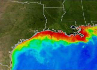 Tyson Foods Corporation Now Linked to Largest Dead Zone in U.S. History