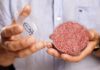 GMO Pusher Bill Gates Teams Up With Richard Branson, Hopes to End the Meat Industry As We Know It With Lab-Grown Beef