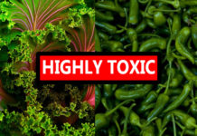 Two Vegetables Reported “Extraordinarily Toxic” Yet Not a Part of the New “Dirty Dozen”