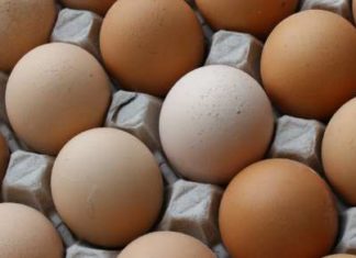 Why Do You Keep Refrigerating Your Eggs?