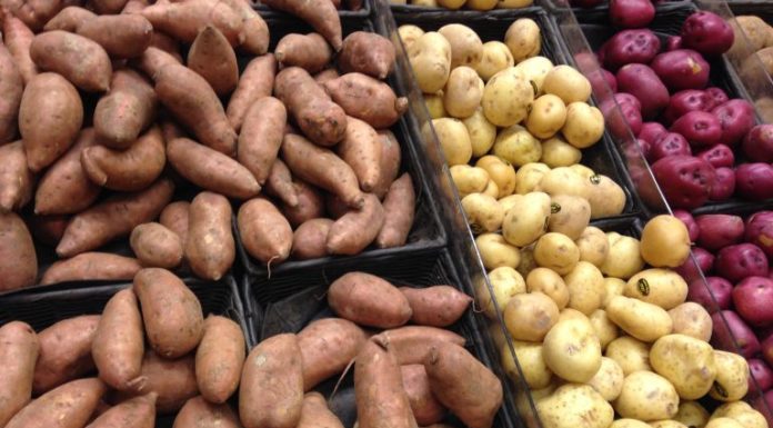 FDA Approves Three New Types of GMO Potatoes — Here’s What You Must Know to Avoid Them
