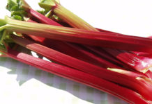 Rhubarb Shows Promise For Treating Chronic Liver Disease