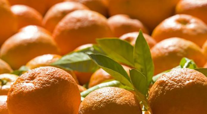 Natural Remedies for Losing Weight – Bitter Orange bitter orange benefits